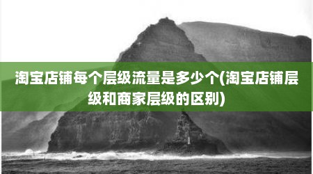 淘宝店铺每个层级流量是多少个(淘宝店铺层级和商家层级的区别)