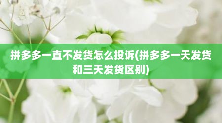拼多多一直不发货怎么投诉(拼多多一天发货和三天发货区别)