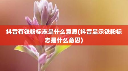 抖音有铁粉标志是什么意思(抖音显示铁粉标志是什么意思)