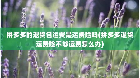 拼多多的退货包运费是运费险吗(拼多多退货运费险不够运费怎么办)