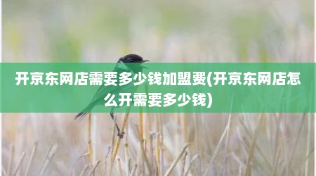 开京东网店需要多少钱加盟费(开京东网店怎么开需要多少钱)