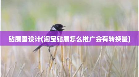 钻展图设计(淘宝钻展怎么推广会有转换量)