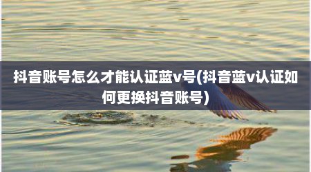 抖音账号怎么才能认证蓝v号(抖音蓝v认证如何更换抖音账号)