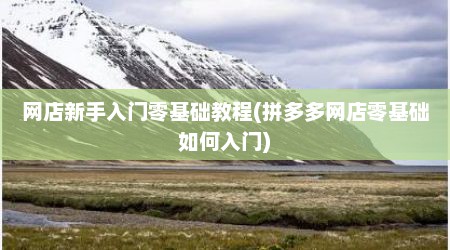 网店新手入门零基础教程(拼多多网店零基础如何入门)