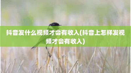 抖音发什么视频才会有收入(抖音上怎样发视频才会有收入)