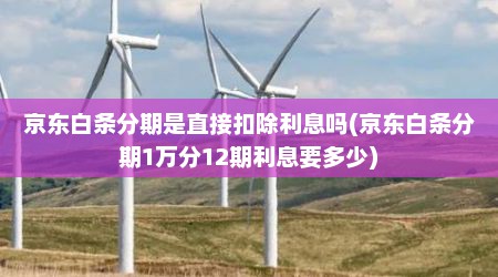 京东白条分期是直接扣除利息吗(京东白条分期1万分12期利息要多少)