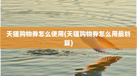 天猫购物券怎么使用(天猫购物券怎么用最划算)