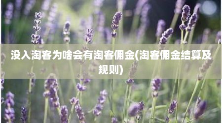 没入淘客为啥会有淘客佣金(淘客佣金结算及规则)