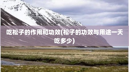 吃松子的作用和功效(松子的功效与用途一天吃多少)