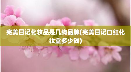 完美日记化妆品是几线品牌(完美日记口红化妆盒多少钱)