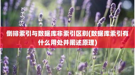 倒排索引与数据库非索引区别(数据库索引有什么用处并阐述原理)