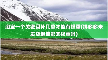 淘宝一个关键词补几单才能有权重(拼多多未发货退单影响权重吗)