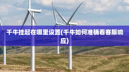 千牛挂起在哪里设置(千牛如何准确看客服响应)