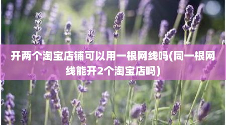 开两个淘宝店铺可以用一根网线吗(同一根网线能开2个淘宝店吗)