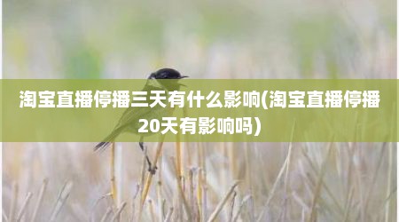 淘宝直播停播三天有什么影响(淘宝直播停播20天有影响吗)