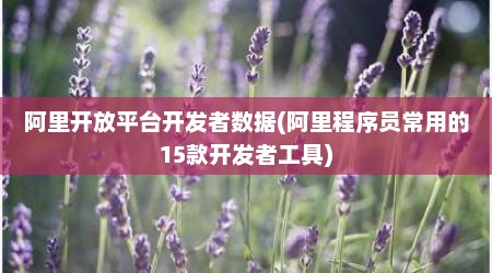 阿里开放平台开发者数据(阿里程序员常用的15款开发者工具)