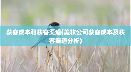 获客成本和获客渠道(美妆公司获客成本及获客渠道分析)