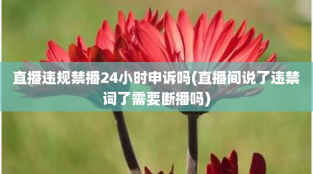 直播违规禁播24小时申诉吗(直播间说了违禁词了需要断播吗)