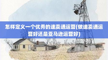 怎样定义一个优秀的速卖通运营(做速卖通运营好还是亚马逊运营好)