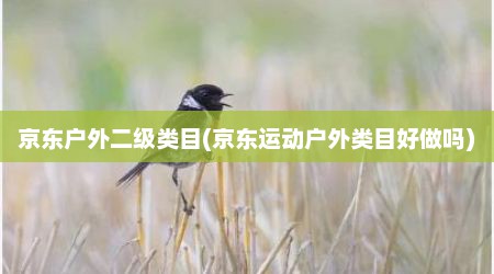 京东户外二级类目(京东运动户外类目好做吗)