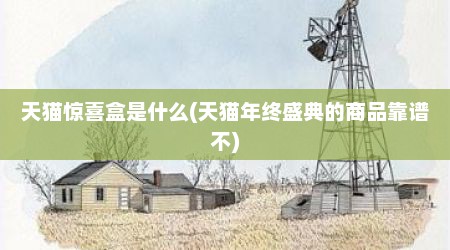 天猫惊喜盒是什么(天猫年终盛典的商品靠谱不)