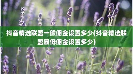 抖音精选联盟一般佣金设置多少(抖音精选联盟最低佣金设置多少)