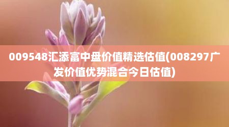 009548汇添富中盘价值精选估值(008297广发价值优势混合今日估值)