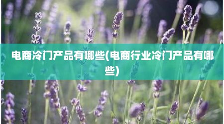 电商冷门产品有哪些(电商行业冷门产品有哪些)