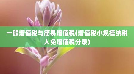 一般增值税与简易增值税(增值税小规模纳税人免增值税分录)