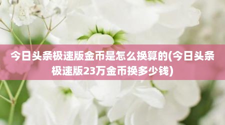 今日头条极速版金币是怎么换算的(今日头条极速版23万金币换多少钱)