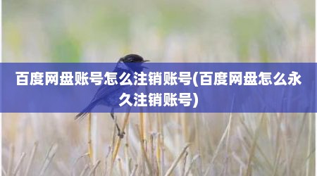 百度网盘账号怎么注销账号(百度网盘怎么永久注销账号)