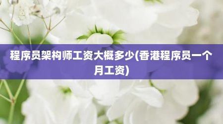 程序员架构师工资大概多少(香港程序员一个月工资)