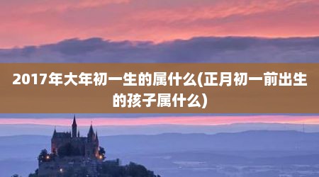 2017年大年初一生的属什么(正月初一前出生的孩子属什么)