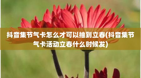 抖音集节气卡怎么才可以抽到立春(抖音集节气卡活动立春什么时候发)