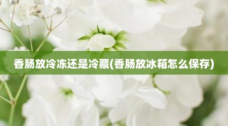 香肠放冷冻还是冷藏(香肠放冰箱怎么保存)