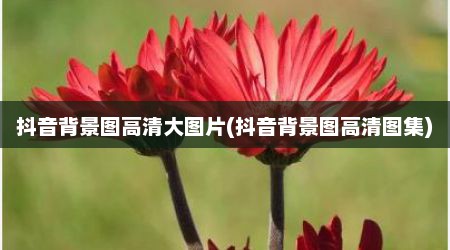 抖音背景图高清大图片(抖音背景图高清图集)