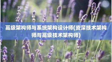 高级架构师与系统架构设计师(资深技术架构师与高级技术架构师)
