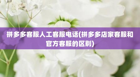 拼多多客服人工客服电话(拼多多店家客服和官方客服的区别)