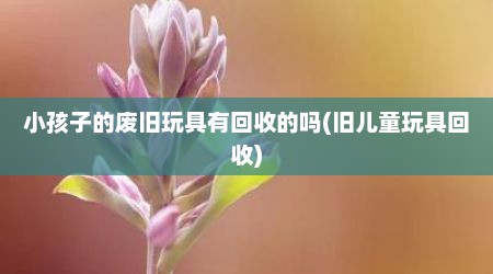 小孩子的废旧玩具有回收的吗(旧儿童玩具回收)