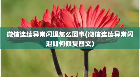 微信连续异常闪退怎么回事(微信连续异常闪退如何修复图文)