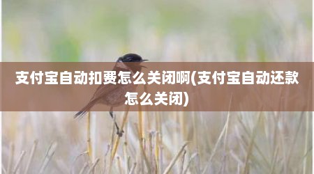 支付宝自动扣费怎么关闭啊(支付宝自动还款怎么关闭)