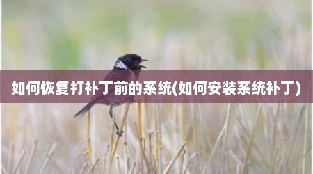 如何恢复打补丁前的系统(如何安装系统补丁)