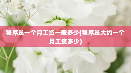 程序员一个月工资一般多少(程序员大约一个月工资多少)