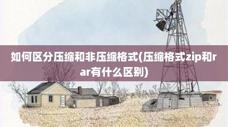如何区分压缩和非压缩格式(压缩格式zip和rar有什么区别)