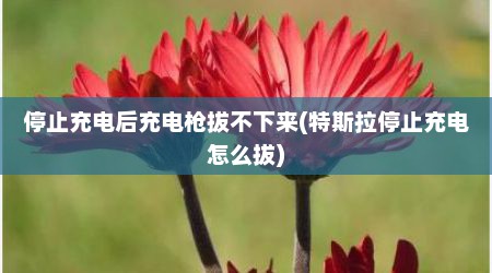 停止充电后充电枪拔不下来(特斯拉停止充电怎么拔)
