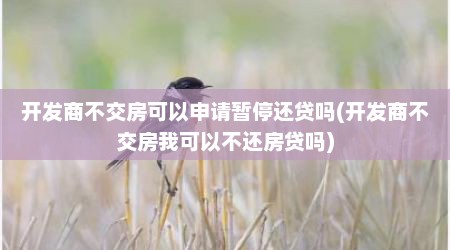 开发商不交房可以申请暂停还贷吗(开发商不交房我可以不还房贷吗)