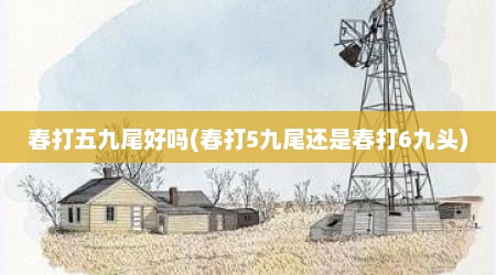 春打五九尾好吗(春打5九尾还是春打6九头)