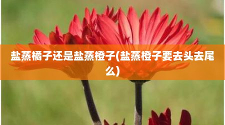 盐蒸橘子还是盐蒸橙子(盐蒸橙子要去头去尾么)