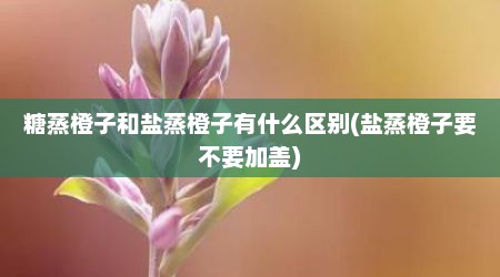 糖蒸橙子和盐蒸橙子有什么区别(盐蒸橙子要不要加盖)