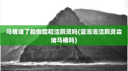 马桶堵了能倒醋和洁厕灵吗(蓝泡泡洁厕灵会堵马桶吗)